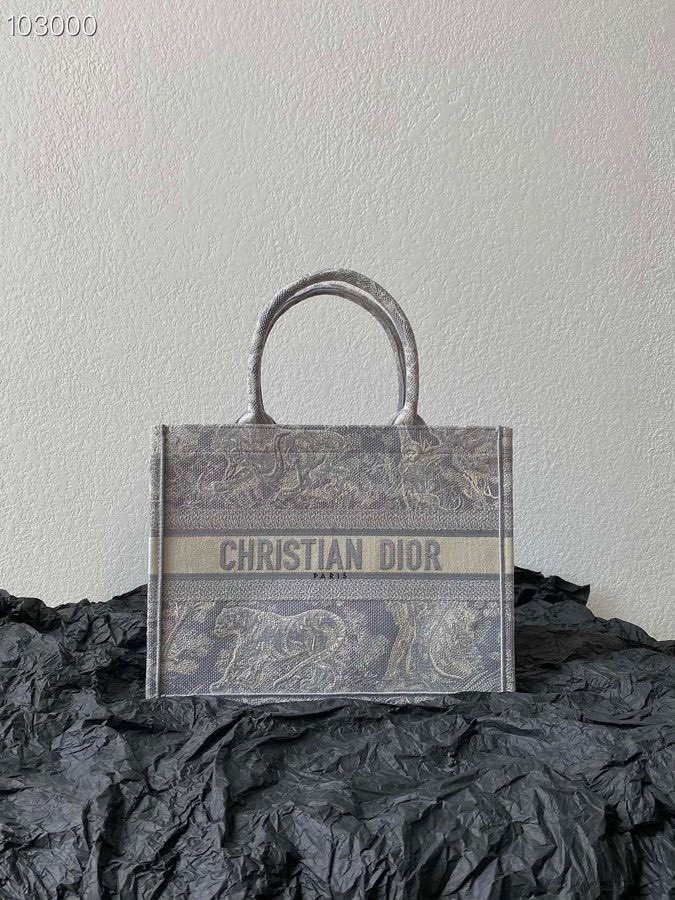 Christian Dior Shopping Bags